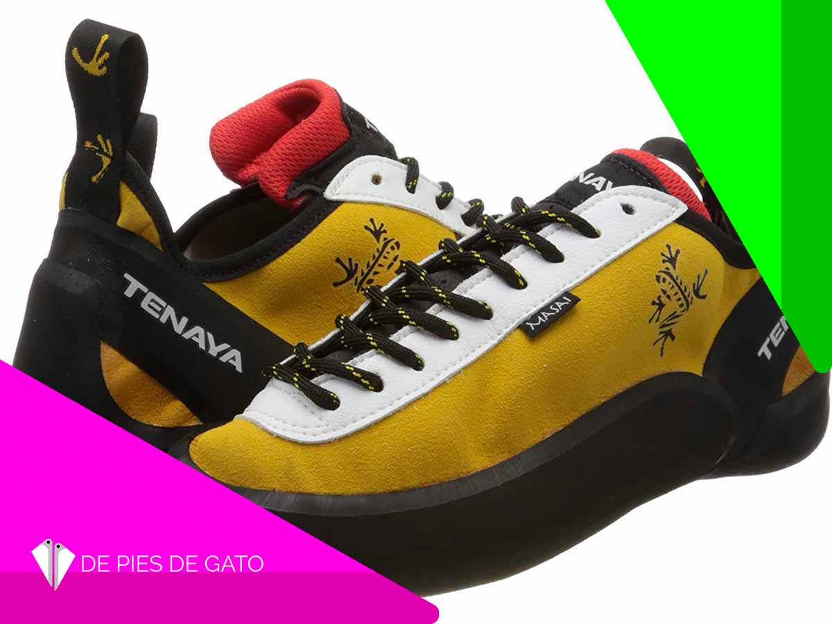 Fotografía destacada de los pies de gato Tenaya Masai